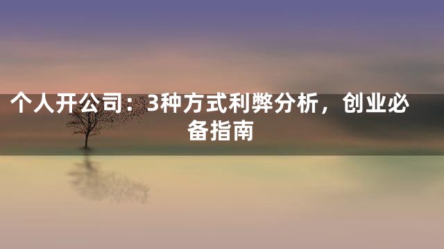 个人开公司：3种方式利弊分析，创业必备指南