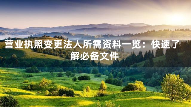 营业执照变更法人所需资料一览：快速了解必备文件