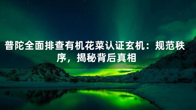 普陀全面排查有机花菜认证玄机：规范秩序，揭秘背后真相