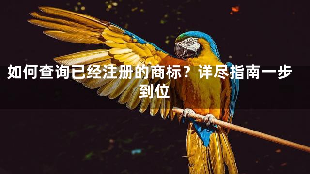 如何查询已经注册的商标？详尽指南一步到位