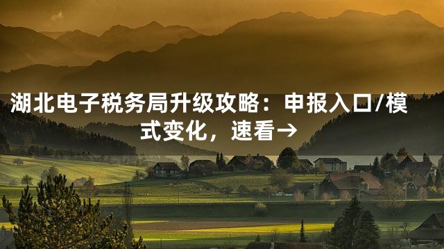 湖北电子税务局升级攻略：申报入口/模式变化，速看→