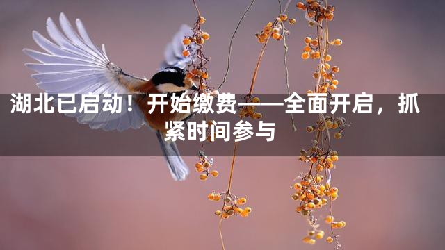 湖北已启动！开始缴费——全面开启，抓紧时间参与