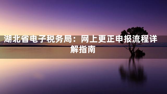 湖北省电子税务局：网上更正申报流程详解指南