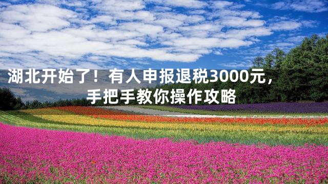 湖北开始了！有人申报退税3000元，手把手教你操作攻略