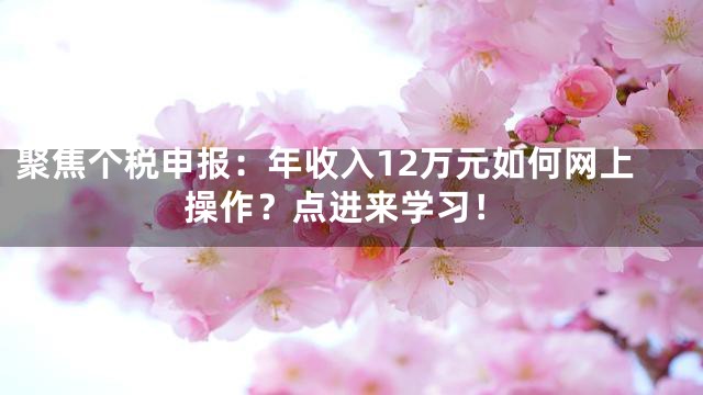 聚焦个税申报：年收入12万元如何网上操作？点进来学习！