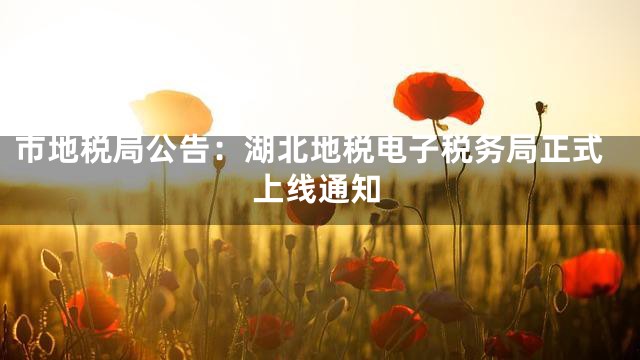 市地税局公告：湖北地税电子税务局正式上线通知