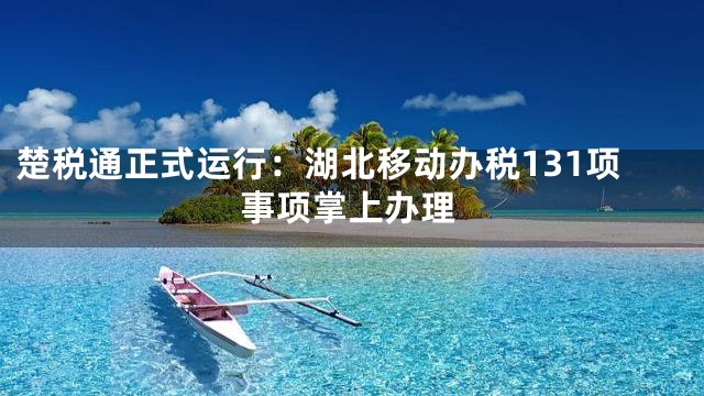 楚税通正式运行：湖北移动办税131项事项掌上办理