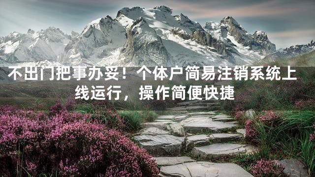 不出门把事办妥！个体户简易注销系统上线运行，操作简便快捷