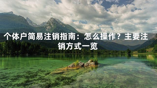 个体户简易注销指南：怎么操作？主要注销方式一览