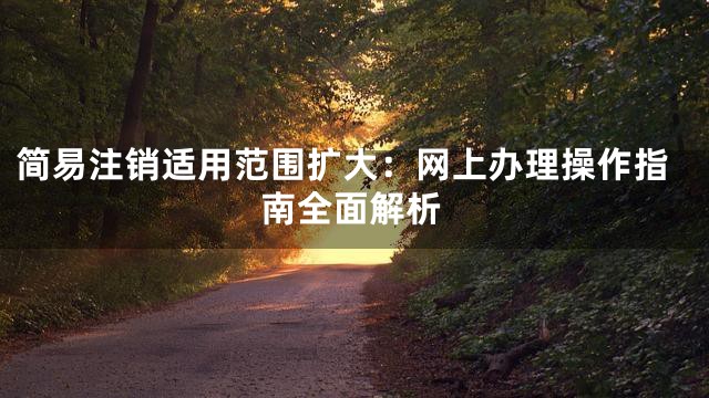 简易注销适用范围扩大：网上办理操作指南全面解析