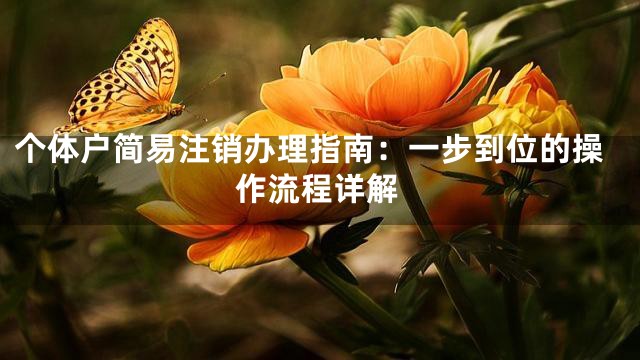 个体户简易注销办理指南：一步到位的操作流程详解