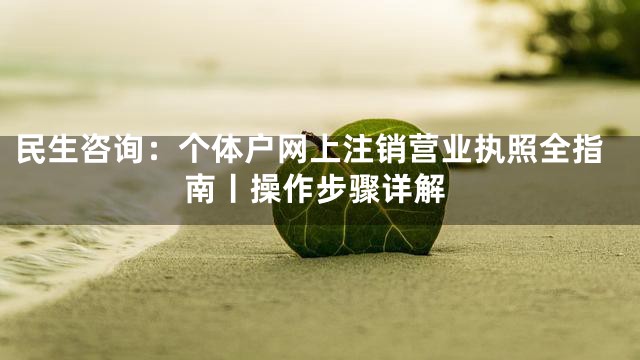 民生咨询：个体户网上注销营业执照全指南丨操作步骤详解