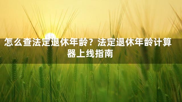 怎么查法定退休年龄？法定退休年龄计算器上线指南