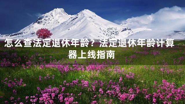 怎么查法定退休年龄？法定退休年龄计算器上线指南