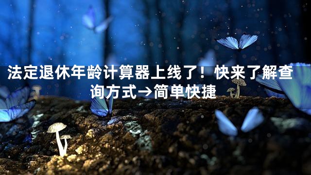 法定退休年龄计算器上线了！快来了解查询方式→简单快捷