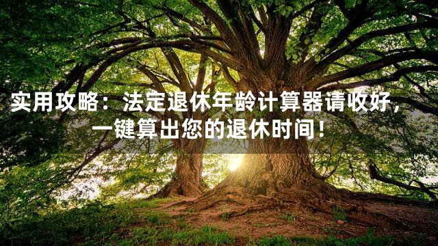 实用攻略：法定退休年龄计算器请收好，一键算出您的退休时间！