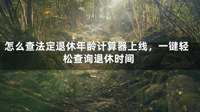 怎么查法定退休年龄计算器上线，一键轻松查询退休时间