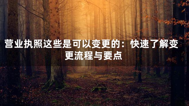 营业执照这些是可以变更的：快速了解变更流程与要点
