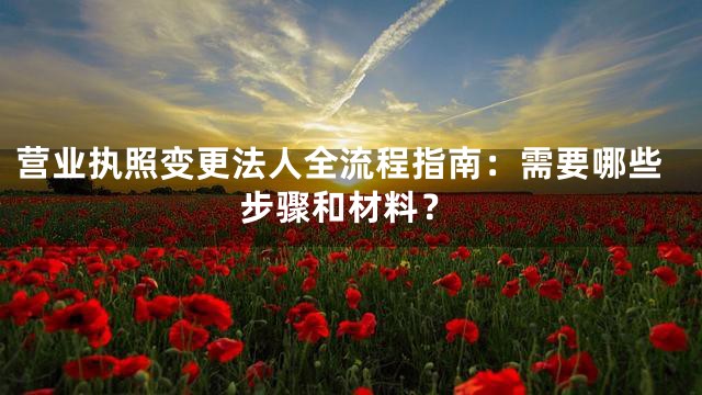 营业执照变更法人全流程指南：需要哪些步骤和材料？