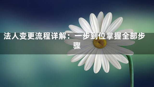 法人变更流程详解：一步到位掌握全部步骤