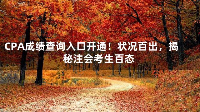 CPA成绩查询入口开通！状况百出，揭秘注会考生百态