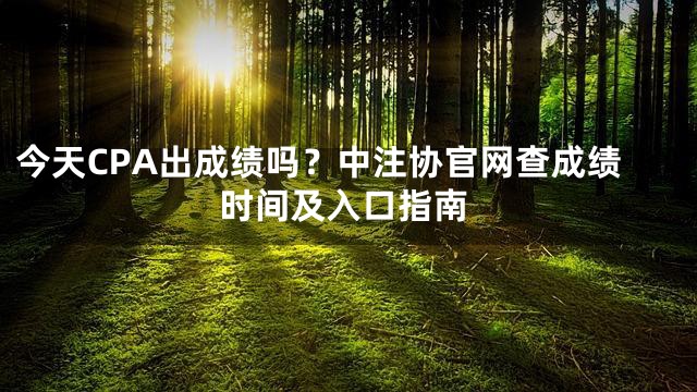今天CPA出成绩吗？中注协官网查成绩时间及入口指南