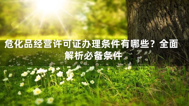 危化品经营许可证办理条件有哪些？全面解析必备条件