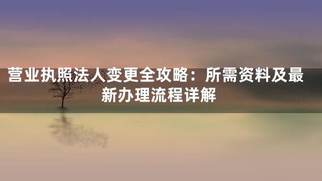 营业执照法人变更全攻略：所需资料及最新办理流程详解
