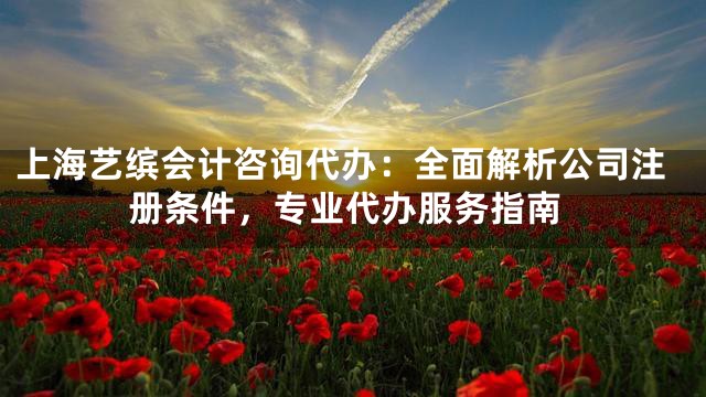 上海艺缤会计咨询代办：全面解析公司注册条件，专业代办服务指南
