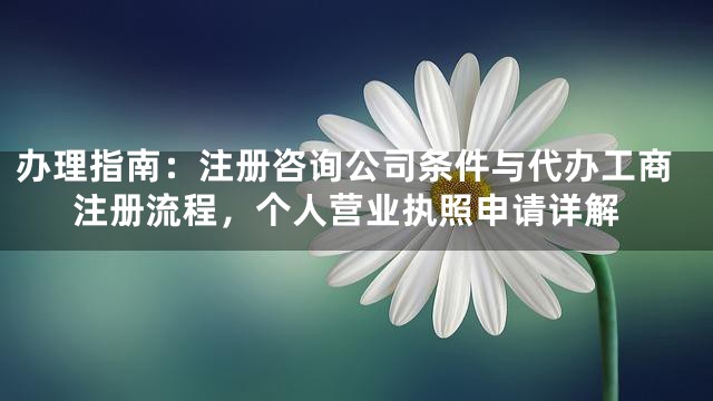 办理指南：注册咨询公司条件与代办工商注册流程，个人营业执照申请详解