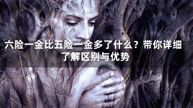 六险一金比五险一金多了什么？带你详细了解区别与优势