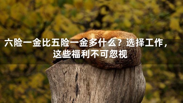 六险一金比五险一金多什么？选择工作，这些福利不可忽视