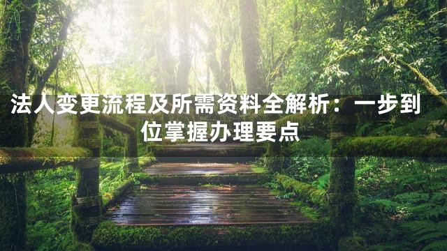法人变更流程及所需资料全解析：一步到位掌握办理要点