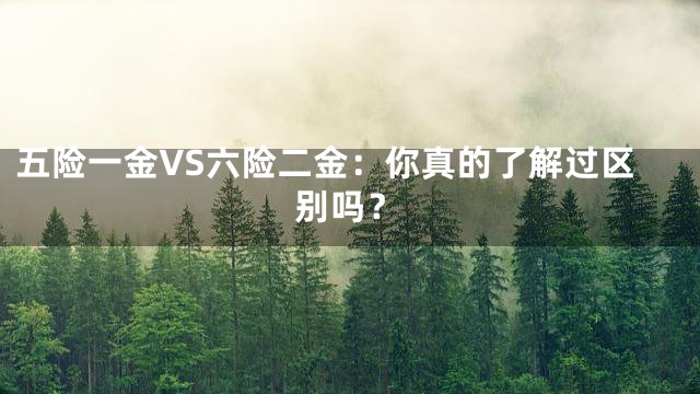 五险一金VS六险二金：你真的了解过区别吗？