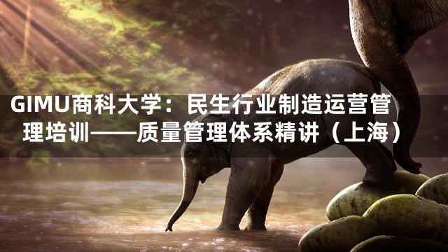 GIMU商科大学：民生行业制造运营管理培训——质量管理体系精讲（上海）
