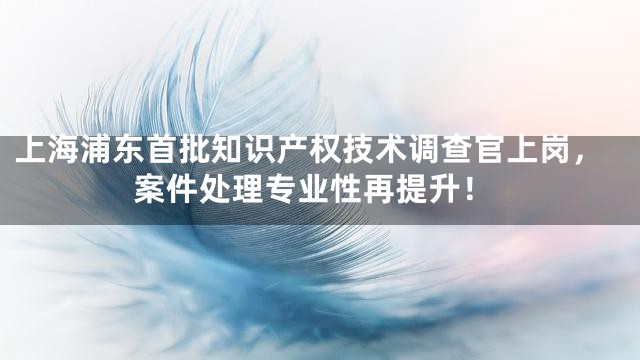 上海浦东首批知识产权技术调查官上岗，案件处理专业性再提升！
