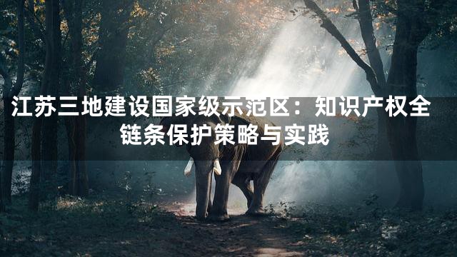 江苏三地建设国家级示范区：知识产权全链条保护策略与实践