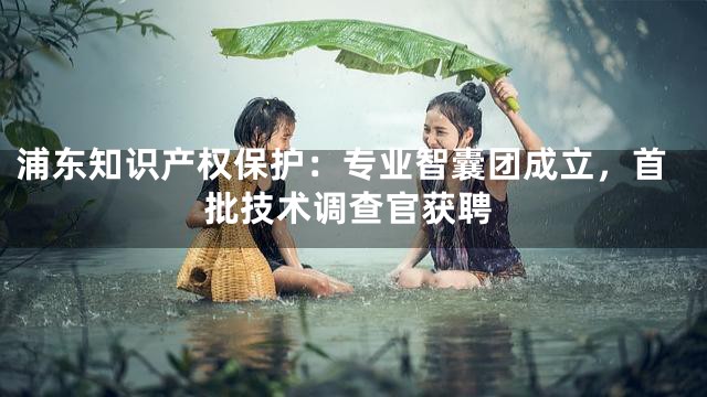 浦东知识产权保护：专业智囊团成立，首批技术调查官获聘