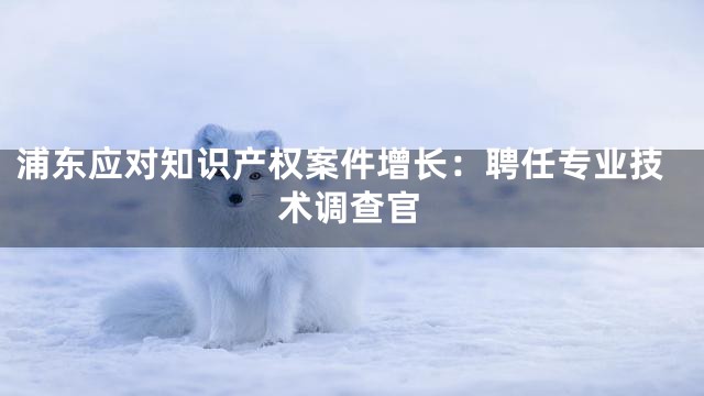 浦东应对知识产权案件增长：聘任专业技术调查官