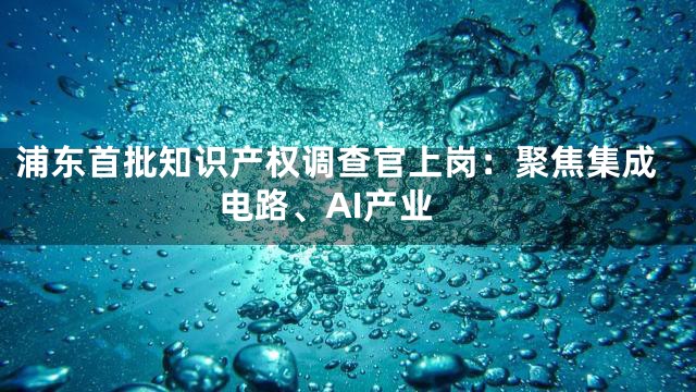 浦东首批知识产权调查官上岗：聚焦集成电路、AI产业