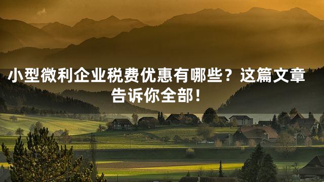 小型微利企业税费优惠有哪些？这篇文章告诉你全部！