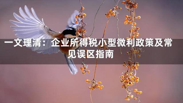 一文理清：企业所得税小型微利政策及常见误区指南