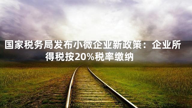 国家税务局发布小微企业新政策：企业所得税按20%税率缴纳