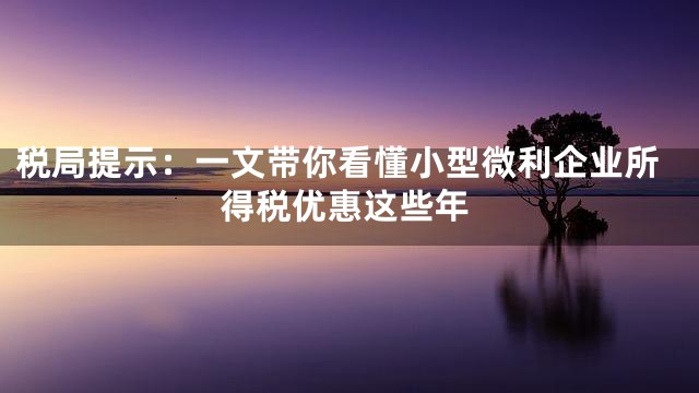 税局提示：一文带你看懂小型微利企业所得税优惠这些年