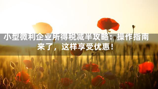 小型微利企业所得税减半攻略：操作指南来了，这样享受优惠！