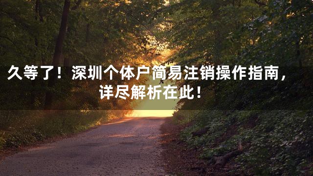 久等了！深圳个体户简易注销操作指南，详尽解析在此！