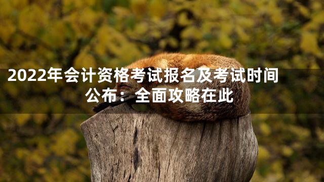 2022年会计资格考试报名及考试时间公布：全面攻略在此