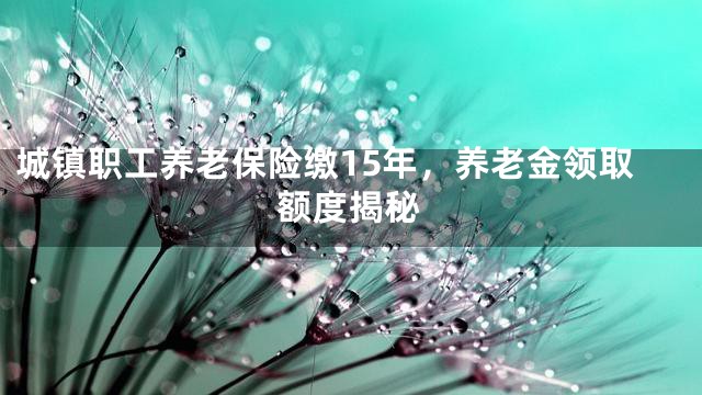 城镇职工养老保险缴15年，养老金领取额度揭秘