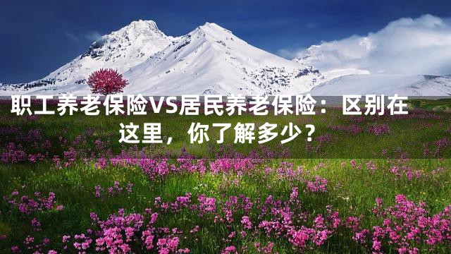 职工养老保险VS居民养老保险：区别在这里，你了解多少？