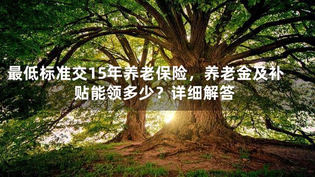 最低标准交15年养老保险，养老金及补贴能领多少？详细解答